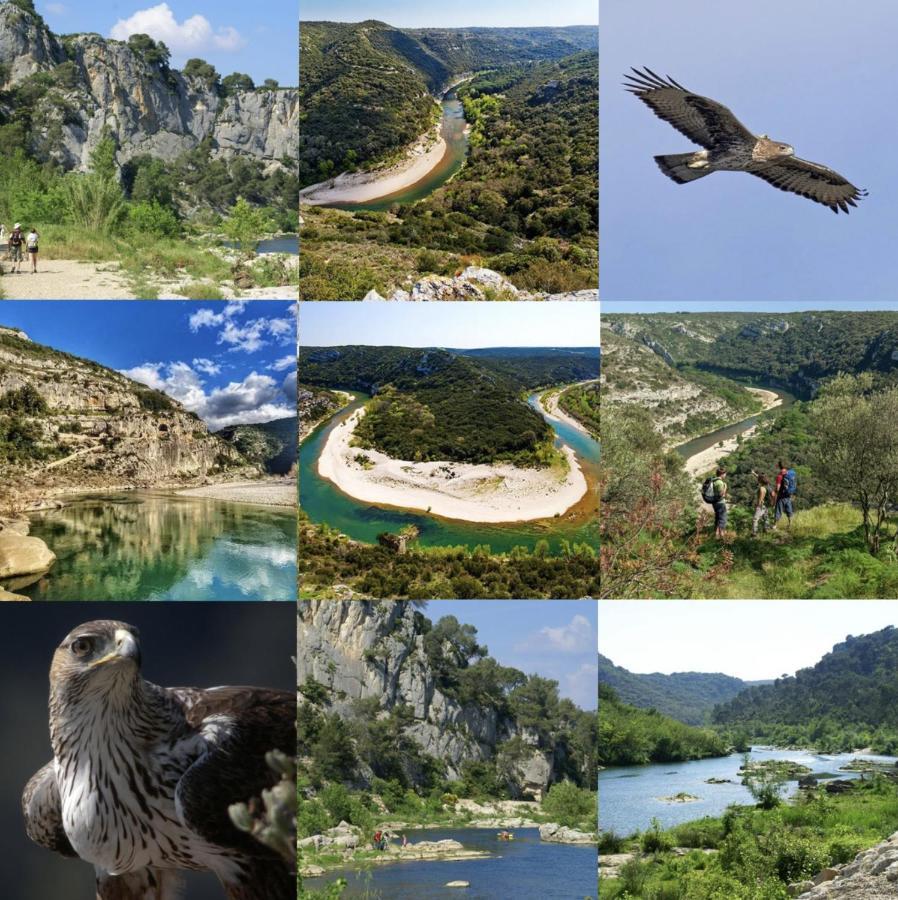 Le Cherche Midi, Entre Nimes, Le Pont Du Gard, Uzes, Arles Marguerittes Exterior foto